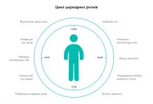 Cikl Cirkadnyh Ritmov Ukr 600x417.png