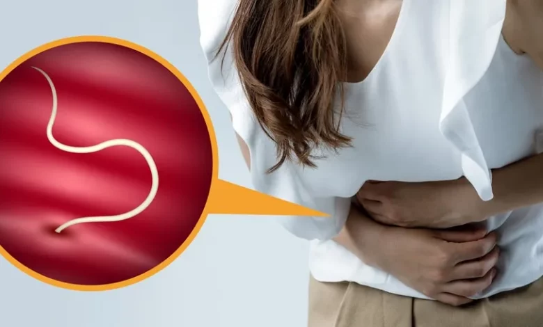 Shutterstock 637626565