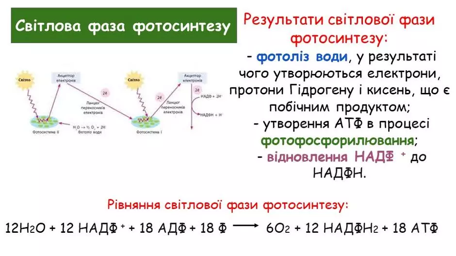 0400gcbg D0f3 940x529 1