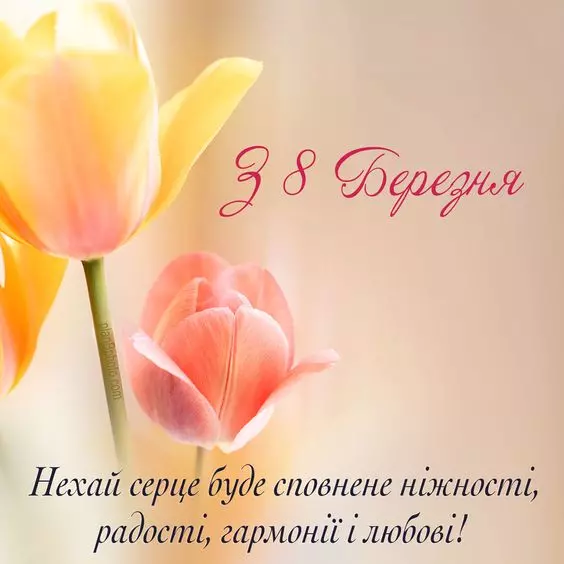 6045bf3160ff3027874049