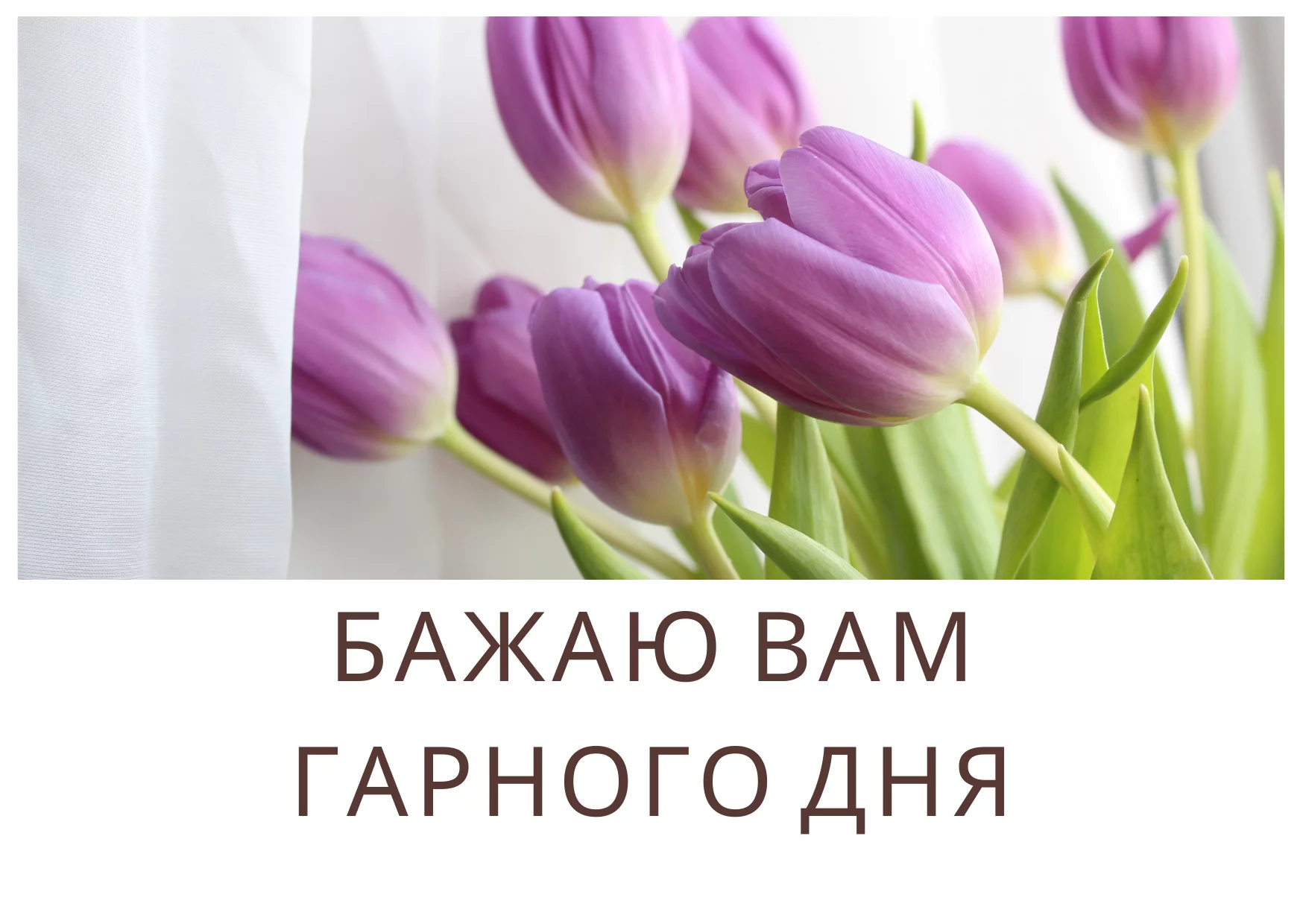 71bba8ff0c6015b411e15df96c2ed2f3