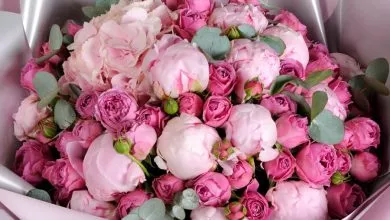 99857cfc 5ecce37f785b8