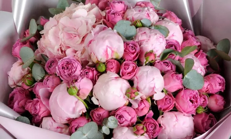 99857cfc 5ecce37f785b8