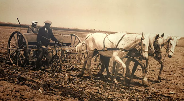 Voj Poljoprivrede4 2