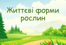 0201axnf 068e 1200x630 1