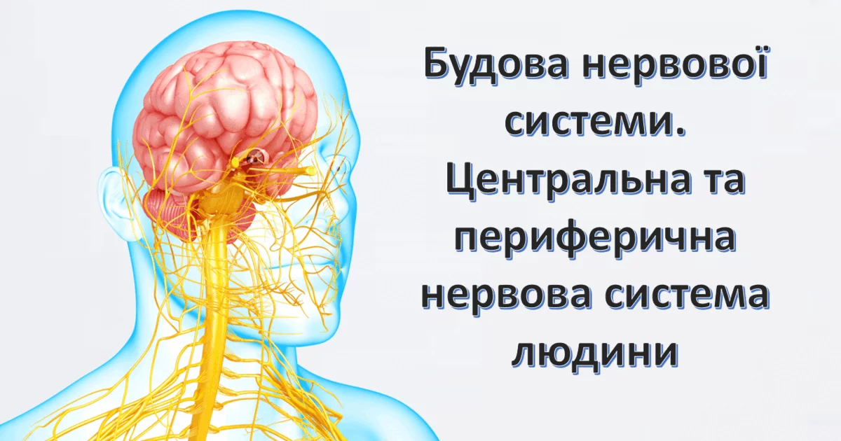 0600f5c9 Db13 1200x630 1