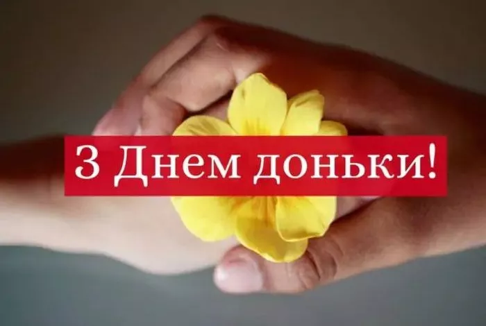 6c3a98fa52a5678c155325b929d29df5