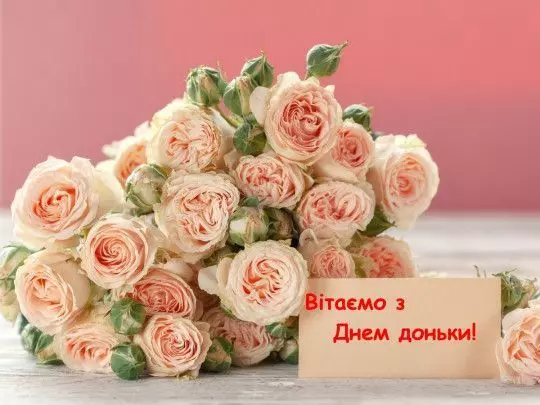 E3db7aeeff38069f52e13ffac8b0e556