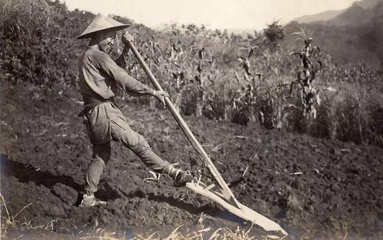 Japan Farmers Reform1950