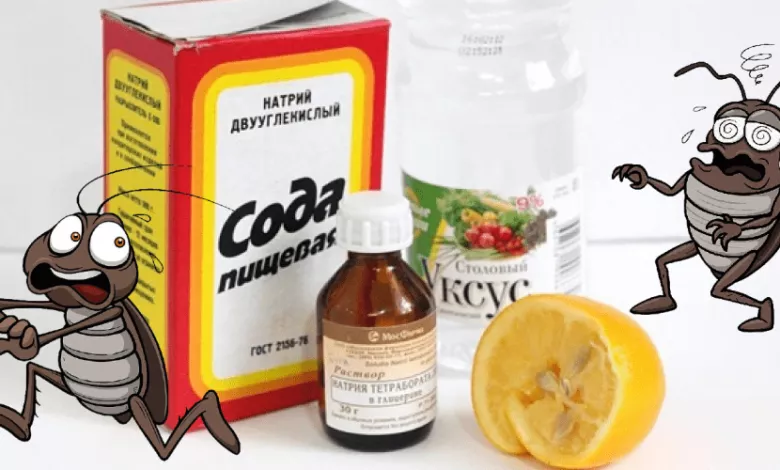 Narodnye Sredstva Ot Tarakanov