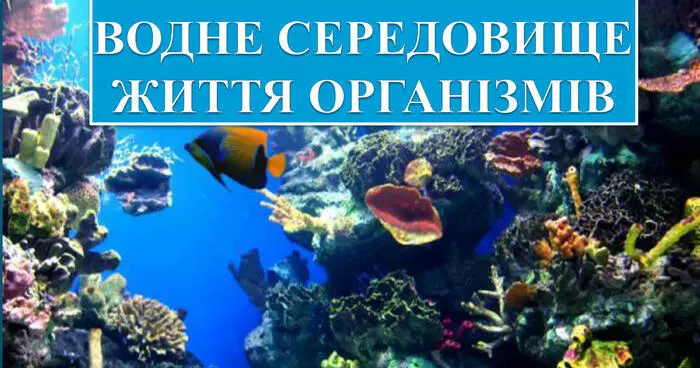 02004g81 99fe 1200x630 1