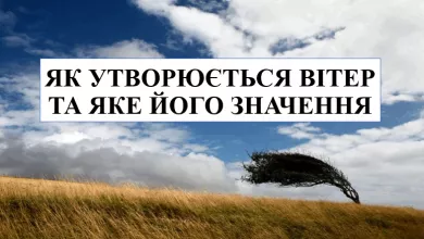 0500uto7 D8e9 1200x630 1