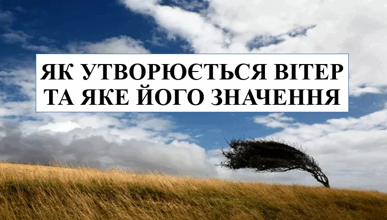 0500uto7 D8e9 1200x630 1