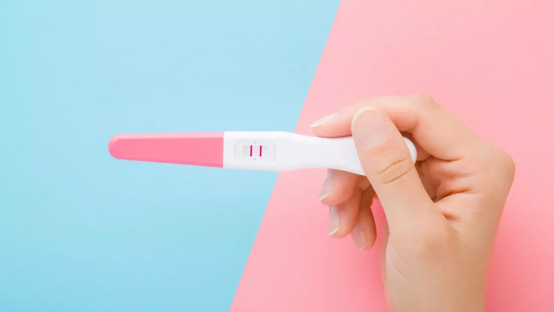 09106537 67a3 4725 A7bb Ffbe39251e7f