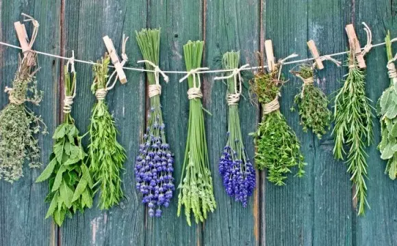 1626774822 Original Photo