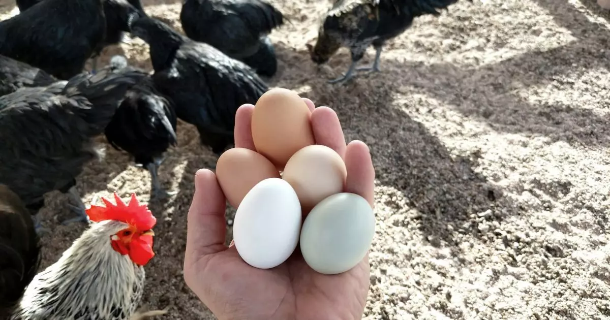 8a14934cdd5d7fb7dda6c1483ccb10f1