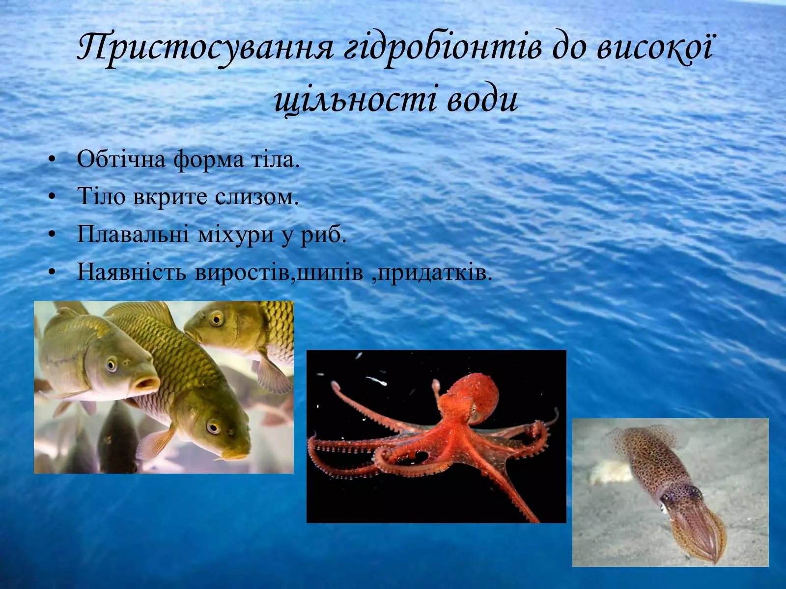 Cd14ec673077aaf075159ad0e473d899