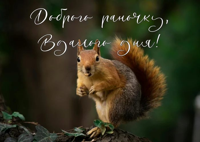 Dobryj Ranok Kartynky 1