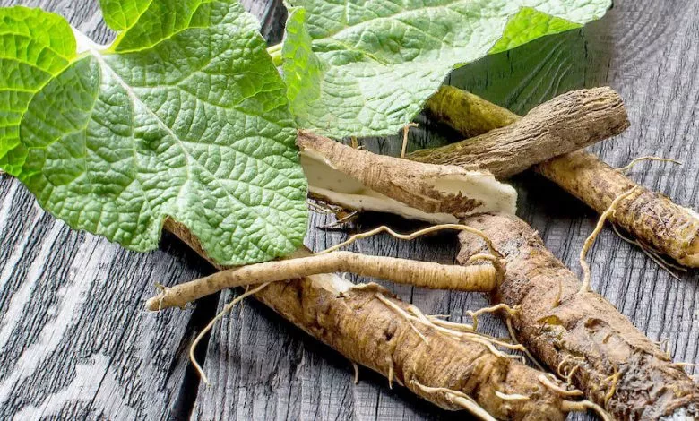 Klettenwurzel11 1 11 2 2