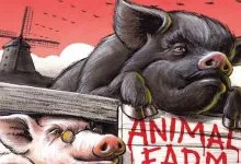 Skotoferma Analiz Tvoru